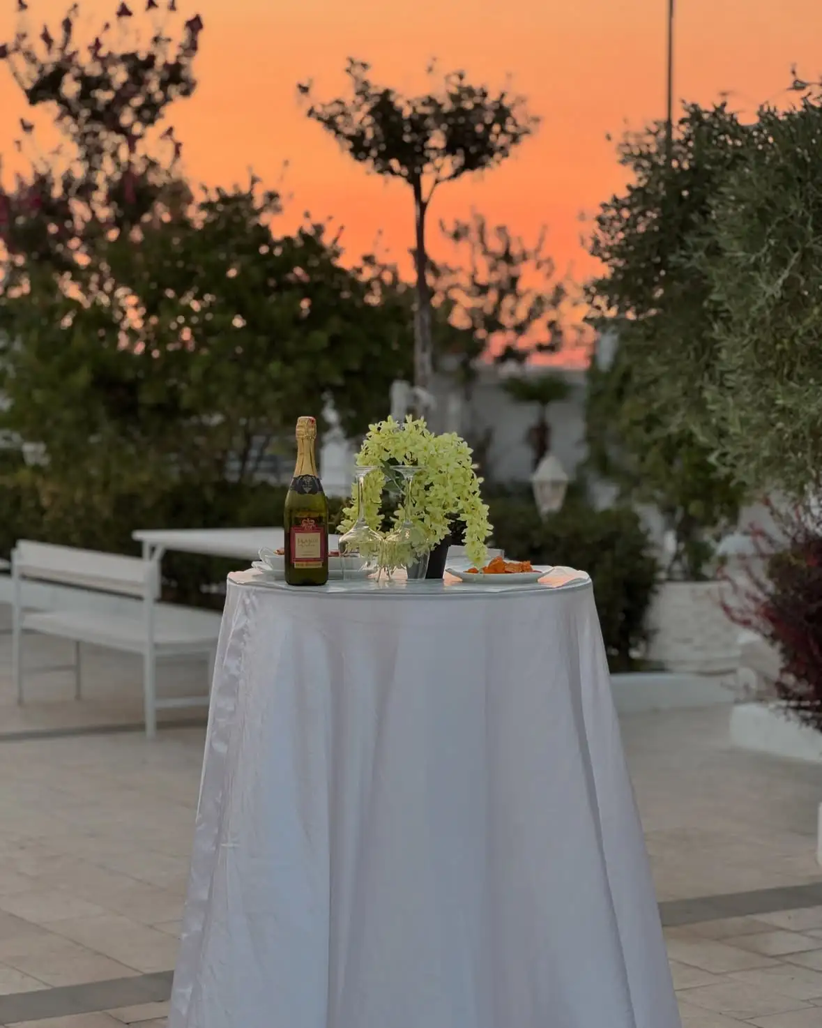 Cocktail dhe prezantim pijesh në Modus